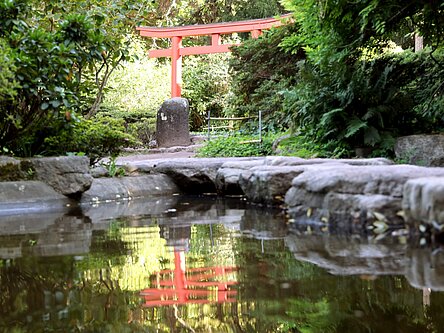 Japangarten: Wissenswertes vom Experten - Stadt Karlsruhe