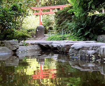 Das Gartenbauamt bietet am 27. September eine fachkundige Führung durch den Japangarten an. 