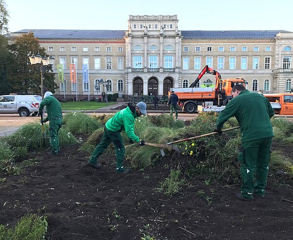 Mitarbeitende des Gartenbauamtes räumen das Beet am Friedrichsplatz ab.