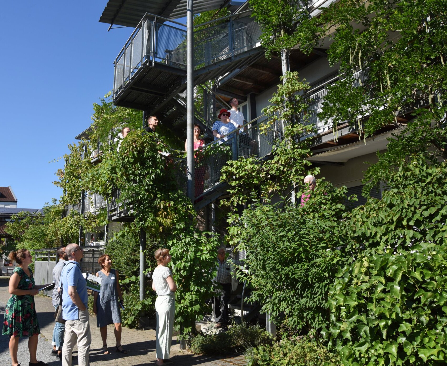 Die Gartenträume-Jury begutachtet die Fassadenbegrünung des Wettbewerbteilnehmers Geroldsäcker.