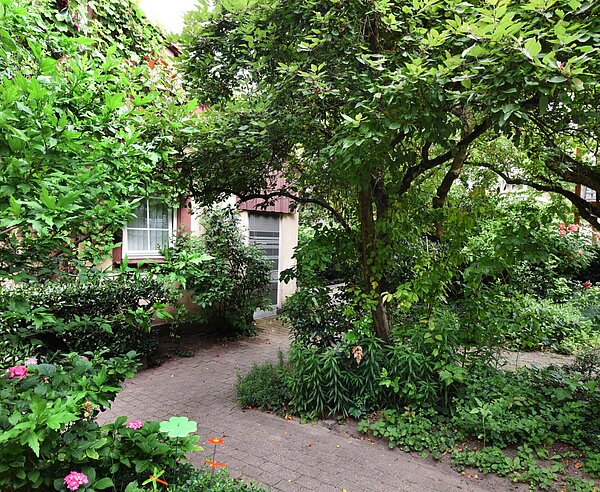 Im Rahmen der Offenen Pforte steht der Garten im Innenhof der Amthausstraße 22 zur Besichtigung offen.