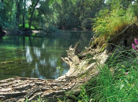 Stadt der Biologischen Vielfalt