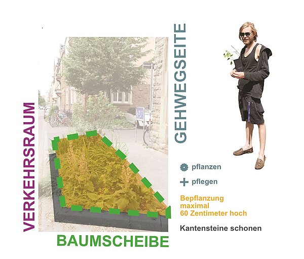 Verbildlichung einer Beetpatenschaft