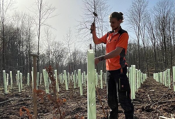 Junger Mann schlägt Pfahl in den Boden