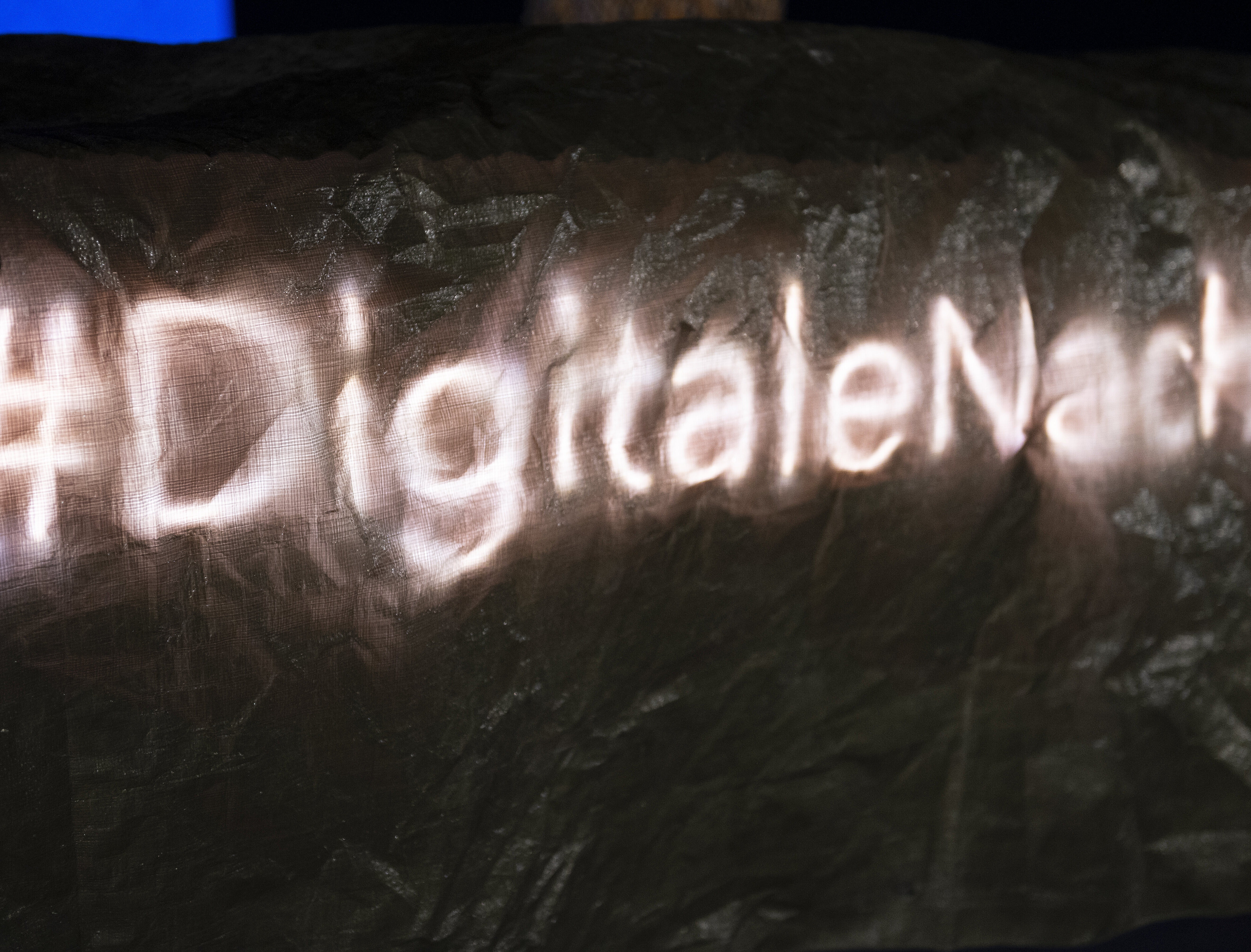 Schriftzug Digitale Nacht