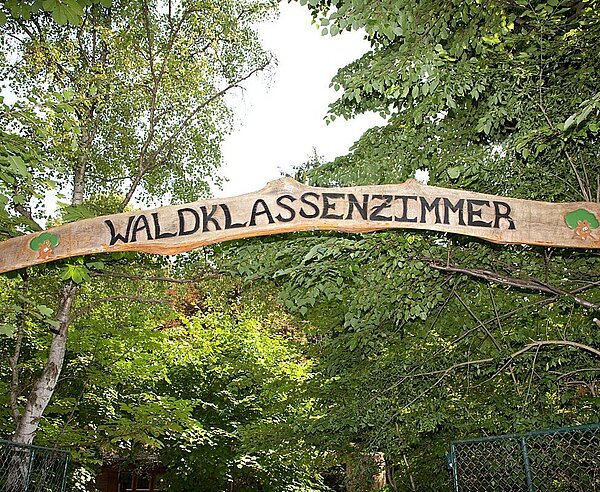 Das Waldklassenzimmer lädt Kinder zum Entdecken ein.