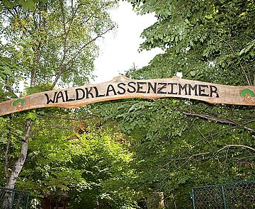 Das Waldklassenzimmer lädt Kinder zum Entdecken ein.