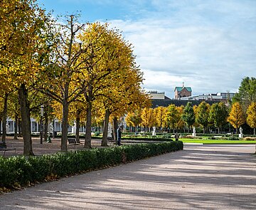 Der Schlossplatz mit Baumallee in herbstlicher Stimmung