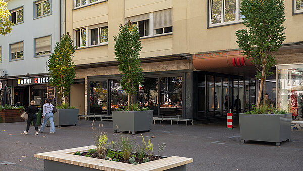 Passagehof begrünt 017