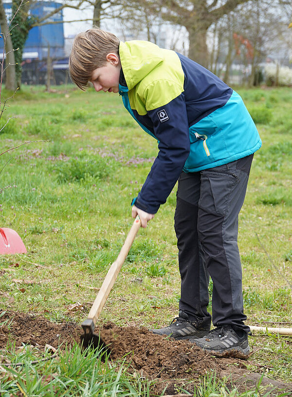 Sohn Arnold hackt den Boden mit einer Hacke