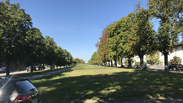 Bilder Ist-Zustand Abschnitt 4: Blücherstraße bis Händelstraße  