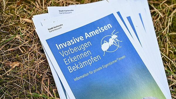 Flyer zur Informationsveranstaltung vom Gartenbauamt zur Bekämpfung von invasiven Ameisen