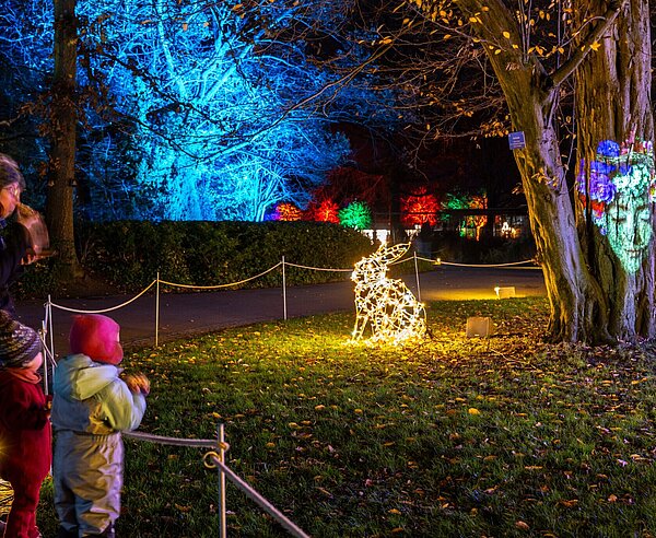 Besuchende schauen sich den beleuchteten Zoo bei Nacht während der Aktion "Christmas Garden" an