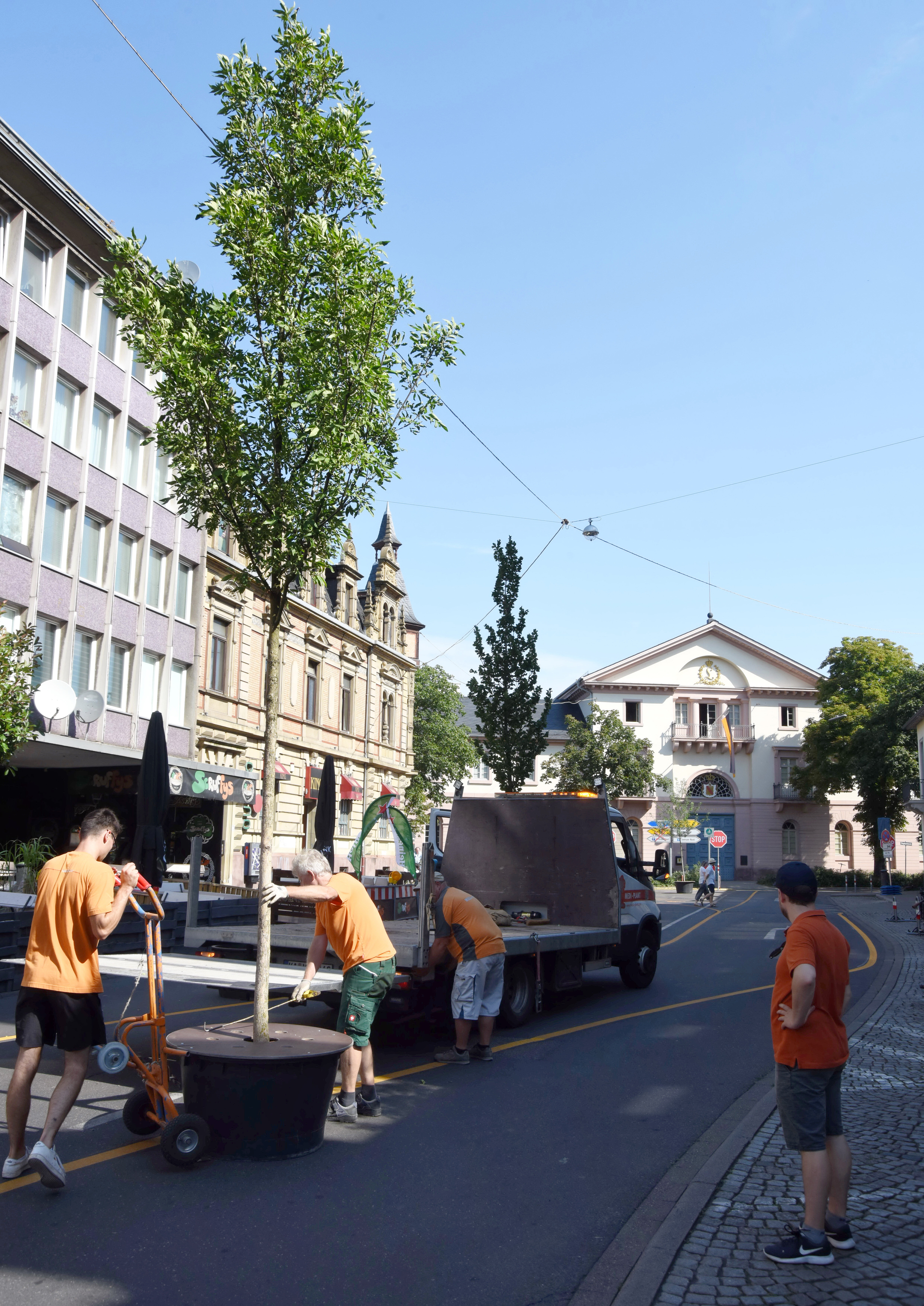 Personen stellen Pflankübel auf