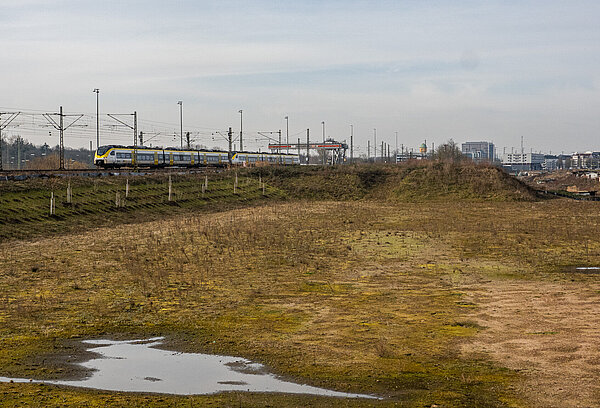Blick auf ein städtisches Brachland