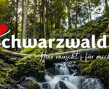 Schwarzwald #AbenteuerHeimat