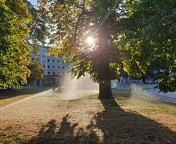 Eine Grünanlage wird bewässert.