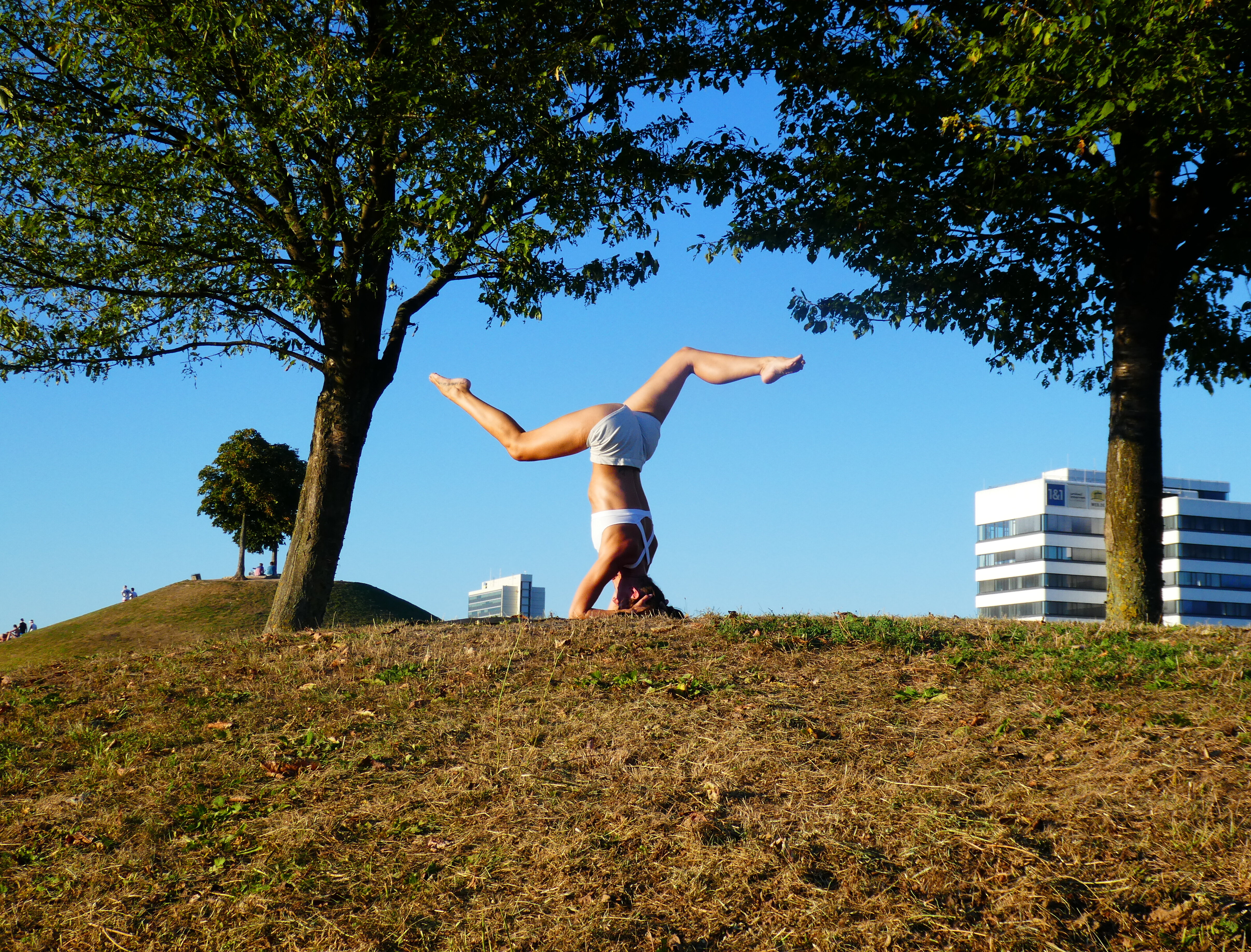 Yoga im Park