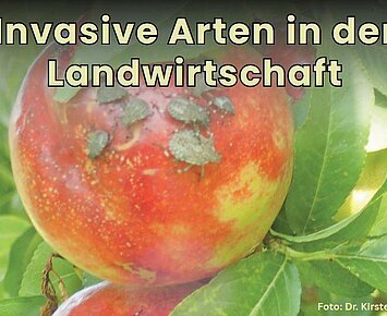 Invasive Arten in der Landwirtschaft
