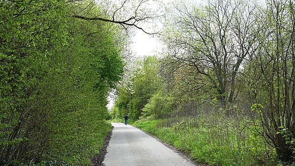 Biodiversitätspfad_Grötzingen