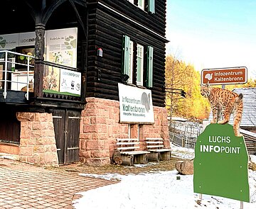 Der neue Luchs-Info-Point am Kaltenbronn soll künftig das Bestandsstützungsprojekt im Schwarzwald erlebbar machen.