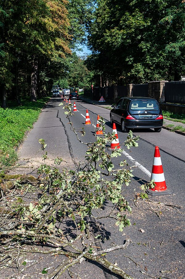 Gesperrte Spur auf der RIntheimer Querallee. Auf der Spur iegen Äste.