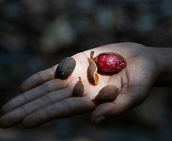 Assembling Grounds. Praktiken der Koexistenz