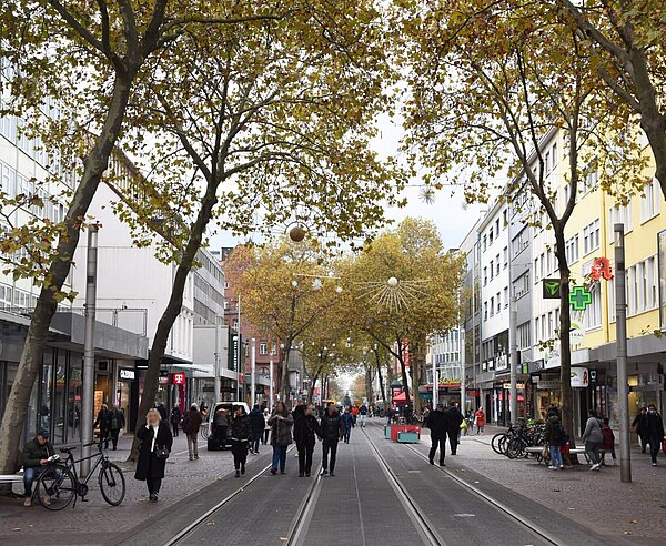 Blätterdach: Nach Umgestaltung der Kaiserstraße sollen 86 neue Bäume den notwendigen Schatten spenden. Bis sie dazu in der Lage sind, will die Stadt für Übergangslösungen sorgen.