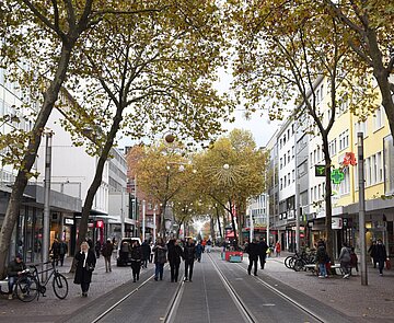 Blätterdach: Nach Umgestaltung der Kaiserstraße sollen 86 neue Bäume den notwendigen Schatten spenden. Bis sie dazu in der Lage sind, will die Stadt für Übergangslösungen sorgen.