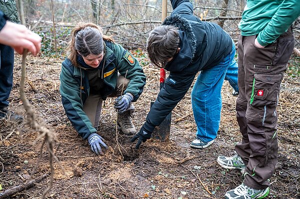 Baumpflanzaktion 2025/26 Titelbild