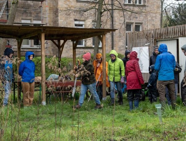 Vorbereitung Pflanzplan