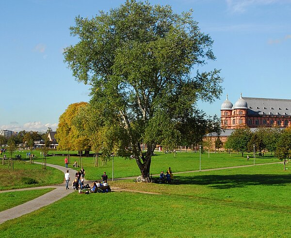 Otto-Dullenkopf-Park