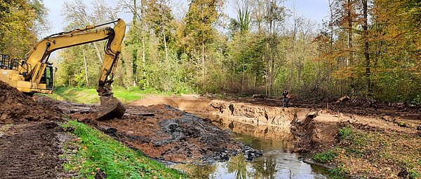 Renaturierung des Weidgrabens im Naturschutzgebiet (NSG) „Grötzinger Bruchwald-Weingartner Moor“