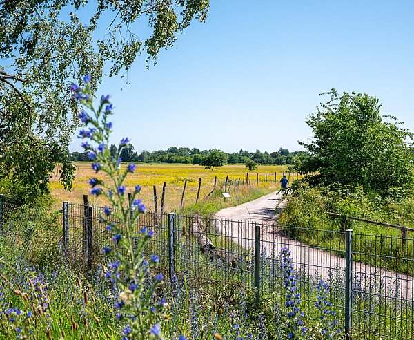 Blick auf das Gelände am Alten Flugplatz