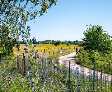 Blick auf das Gelände am Alten Flugplatz