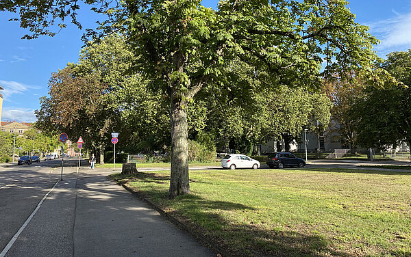 Bilder Ist-Zustand Abschnitt 2: Kochstraße bis Virchowstraße