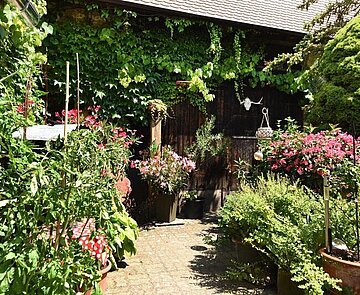 Offene Pforte 2025, Bauerngarten in der Dreikönigstraße 22, Knielingen