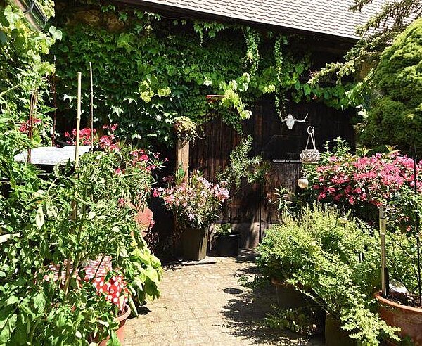Offene Pforte 2025, Bauerngarten in der Dreikönigstraße 22, Knielingen