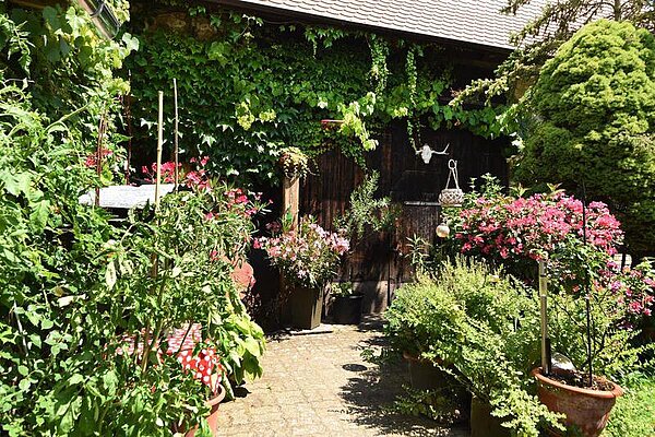 Offene Pforte 2025, Bauerngarten in der Dreikönigstraße 22, Knielingen