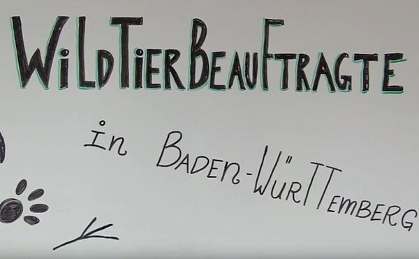 Vorschaubild Wildtierbeauftragte YouTube