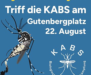 Tigermückenberatung auf dem Wochenmarkt