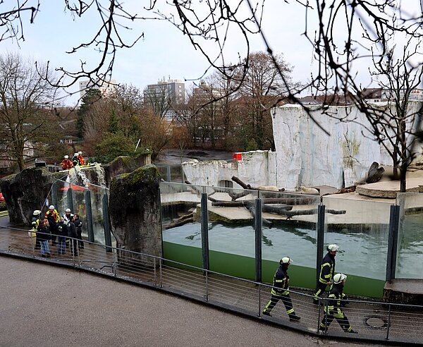 Blick ins Eisbärgehege mit Feuerwehr