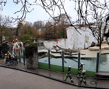 Blick ins Eisbärgehege mit Feuerwehr