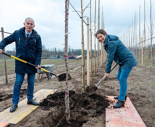 Als Gewinn der Klima-Challenge erhält Karlsruhe einen Krachmandelbaum. Patrice Harster, Geschäftsführer des Eurodistricts, und BM Lisbach pflanzen ihn zunächst in die städtische Baumschule. 