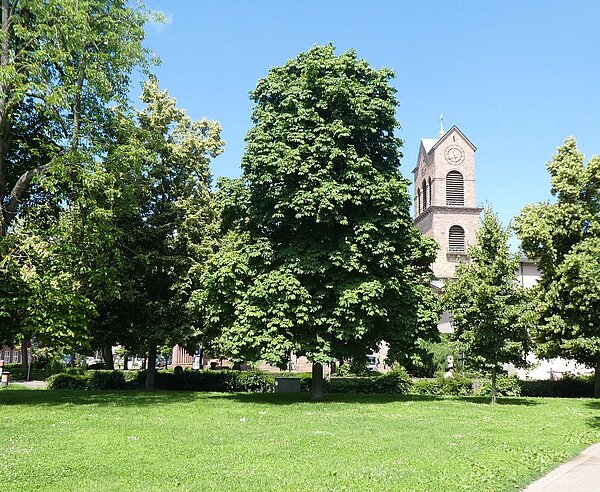 Schatten auf dem Friedrichsplatz
