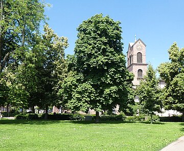 Schatten auf dem Friedrichsplatz