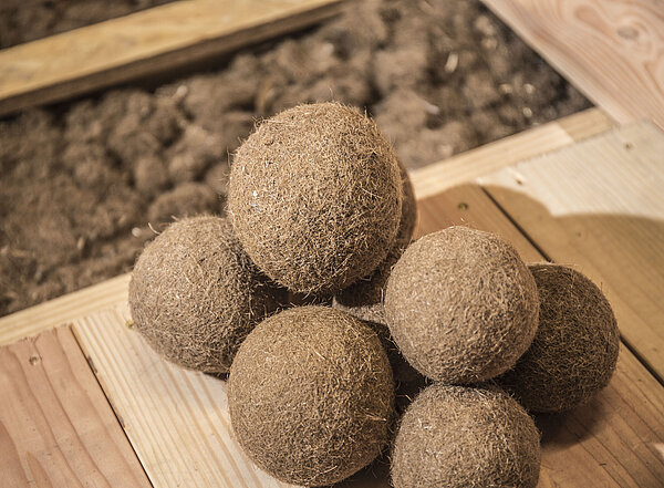 Seegras als Dämmstoff