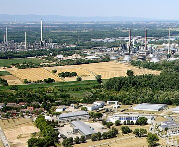 Luftaufnahme von Knielingen