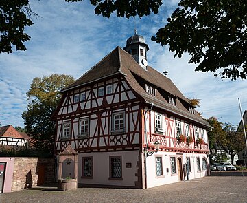 Rathaus bei Sonnenschein im Herbst