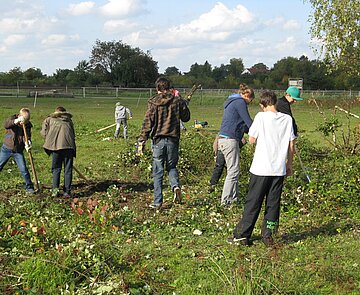 Ehrenamtliche sammeln Müll in Naturschutzgebiet